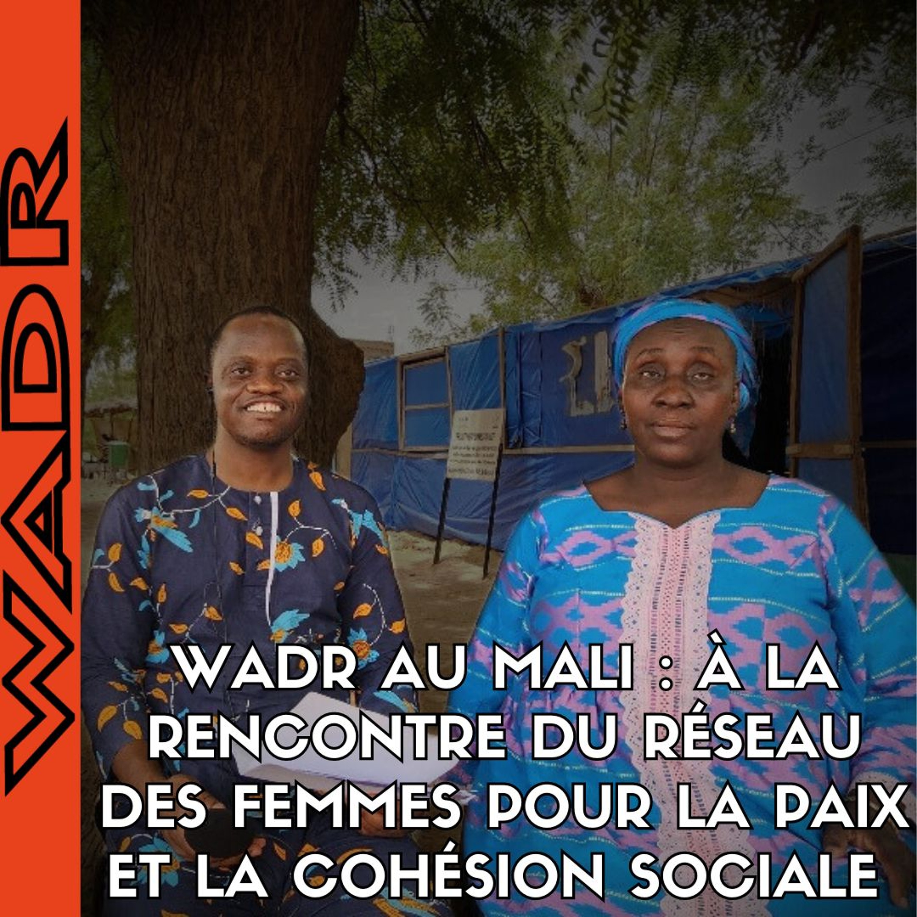 Wadr au Mali : À la  Rencontre du Réseau des Femmes Pour la Paix et la Cohésion Sociales - 50/50 episode artwork