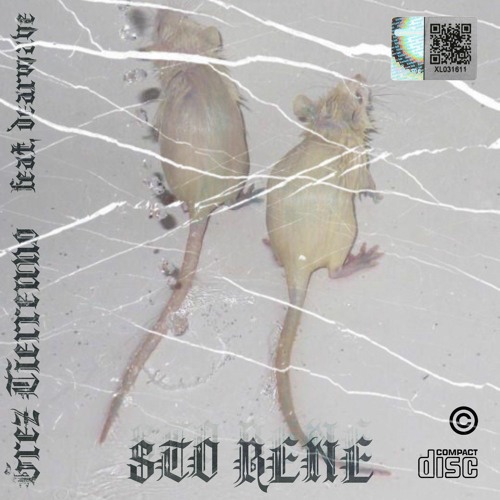 STO BENE x dearwave [Prod. Reverse x Khail]