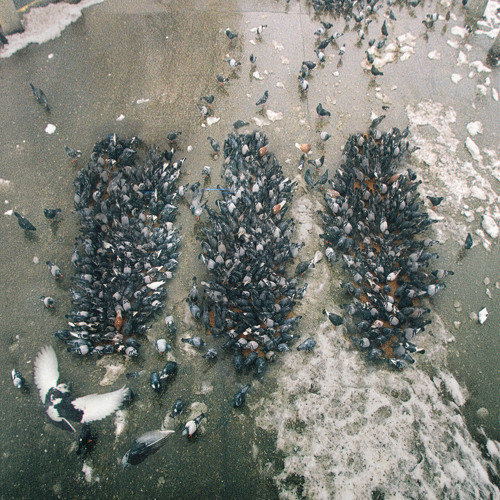 Finale