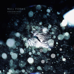 Null Forms - Falsa Speranza [Premiere I L1R026]