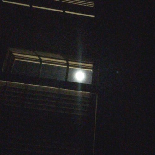 Untitled / Goodnight