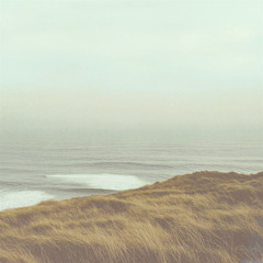 Ponderance