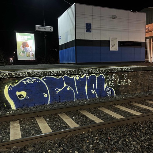 DS-GO @ YOURSHOT VIC 2025