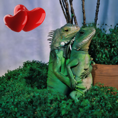 Cheese & Sleeze Vol.2