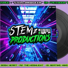 STEMz - Beating Wingz