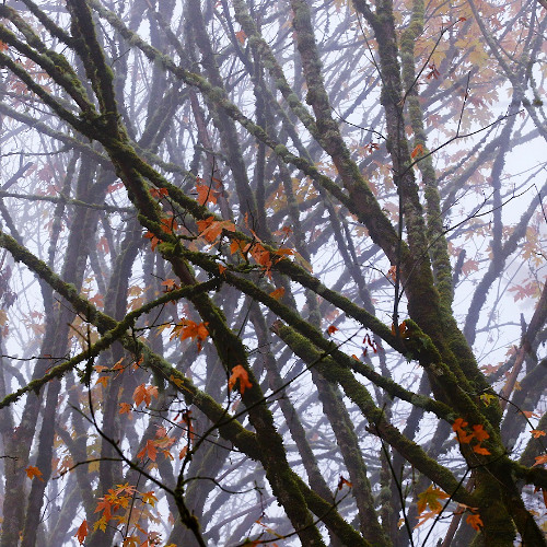 Away Without November