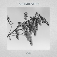 ÆXXI - Assimilated