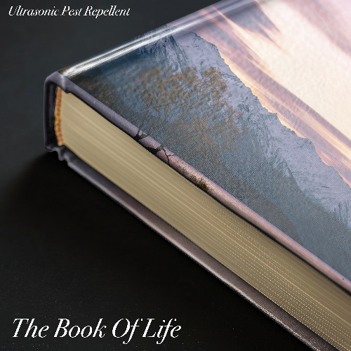 The Book Of Life