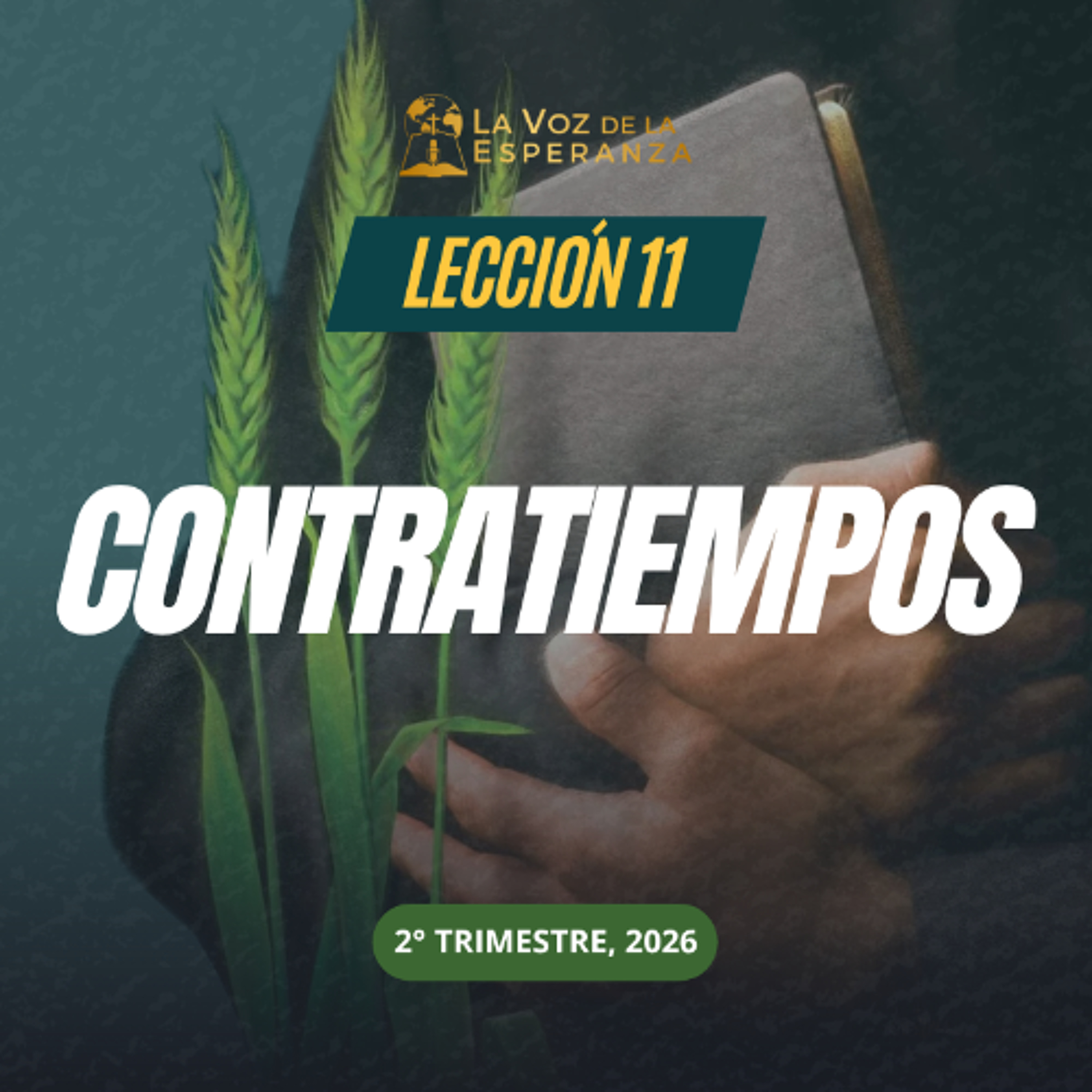 Lección 11 - Contratiempos