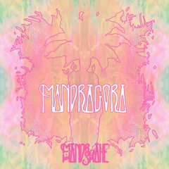 Mandrake Handshake - Mandragora