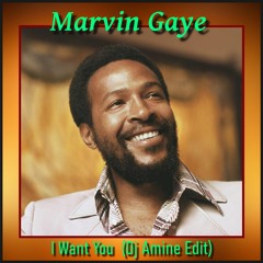 Marvin Gaye - I Want You  (Dj Amine Edit)