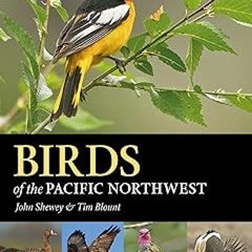 Stream get [PDF] Birds of the Pacific Northwest (A Timber Press Field ...