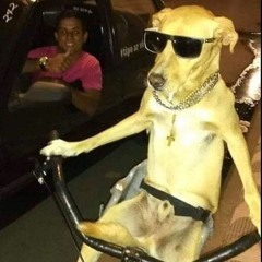 Just Chillin'
