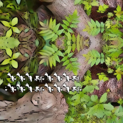 ✩𓂅𓏲ָꮺ𓂅ᯅഒ✧ᓰꍏꂵ