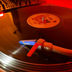 November Session - 004 (full vinil set)