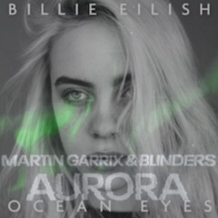 Martin Garrix & Blinders - Aurora Vs Billie Eilish - Ocean Eyes Extended (DESTINI.21 Mashup)