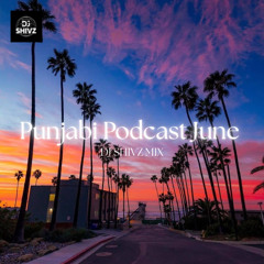 Punjabi Podcast June 2025 - DJ Shivz