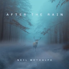 After The Rain