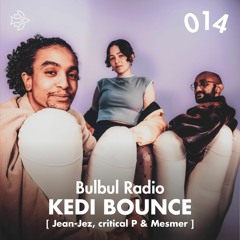 Bulbul Radio 014 - Kedi Bounce