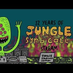 Polarity @ 12 Years Of Jungle Syndicate || Livestream