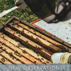 ⚡️DOWNLOAD$!❤️  New Observations on the Natural History of Bees (Esprios Classics)