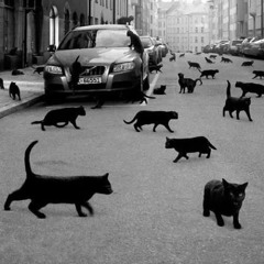 Superstition