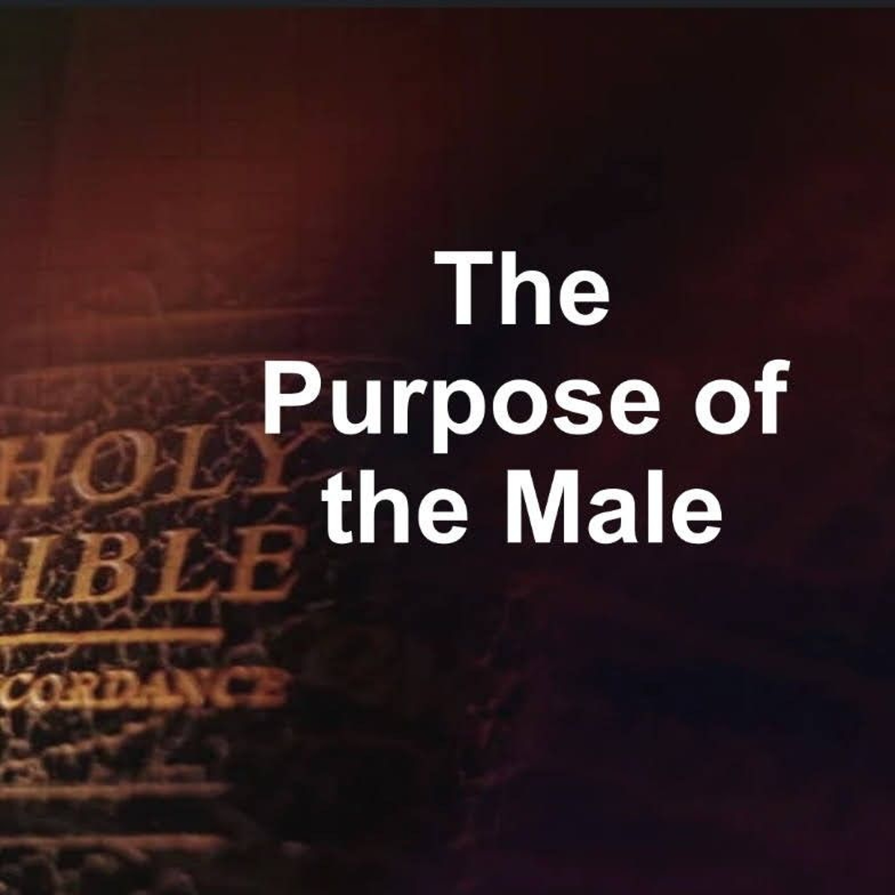 FLC 01/18/26 God's Purpose for the Male Part 2 episode artwork