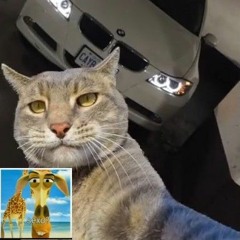 Brocasito - Dope (Speed Song) TikTok Versão
