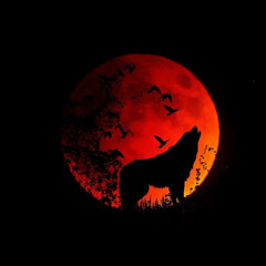 Paq iisLAND- Big Bad Wolf- (prod by XTT)