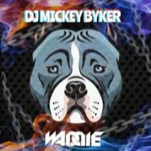 Dj Mickey Byker Snort Your Shit Out Volume 13 Back To Back Mc Waddie