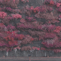 Sleep Token - Past Self Rough Vocal Cover