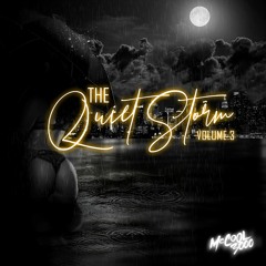 The Quiet Storm Vol 3