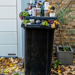 Garbage court