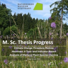 6410 - Molinia Meadows - 142 BPM