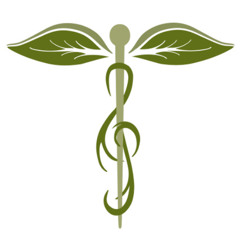 Arriba En La Montana