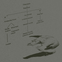 brotes : salvia (demo)