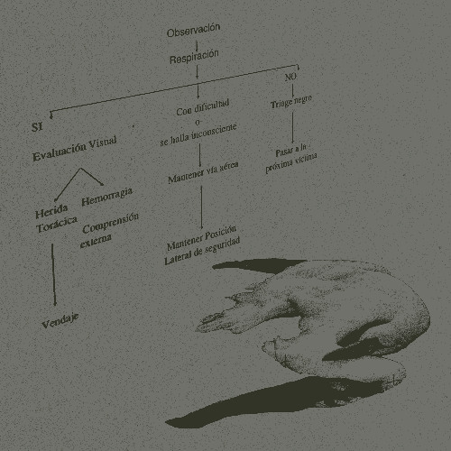 brotes : salvia (demo)