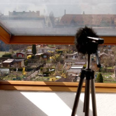 Aphex Twin - Stone in Focus (field recorded)