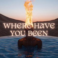 RIHANNA - WHERE HAVE YOU BEEN (WINSON EDIT)
