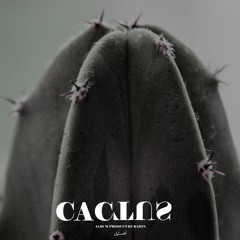 Bahari - Radin & Mahed & Amin Sky (CACTUS Album)