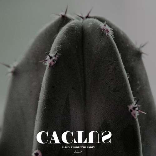 Bahari - Radin & Mahed & Amin Sky (CACTUS Album)