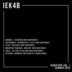 Maxwell - Ascension (Ben Shim Remix)