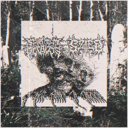 SUICIDAL SZED x SPIRITUM OCCULTUS - I WILL REMAIN IN OBLIVION