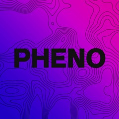 Pheno - Tremplin Kahos II