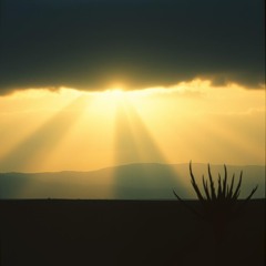 jesus_walks_through_the_trap_54162b0d-4af8-44f0-b24e-5ebd6f91e4b2.mp3