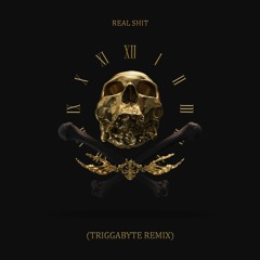 2SOON - Real Shit (Triggabyte Remix)
