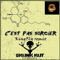 C'est Pas Sorcier By Skunk Kut ( KingFly Remix1)