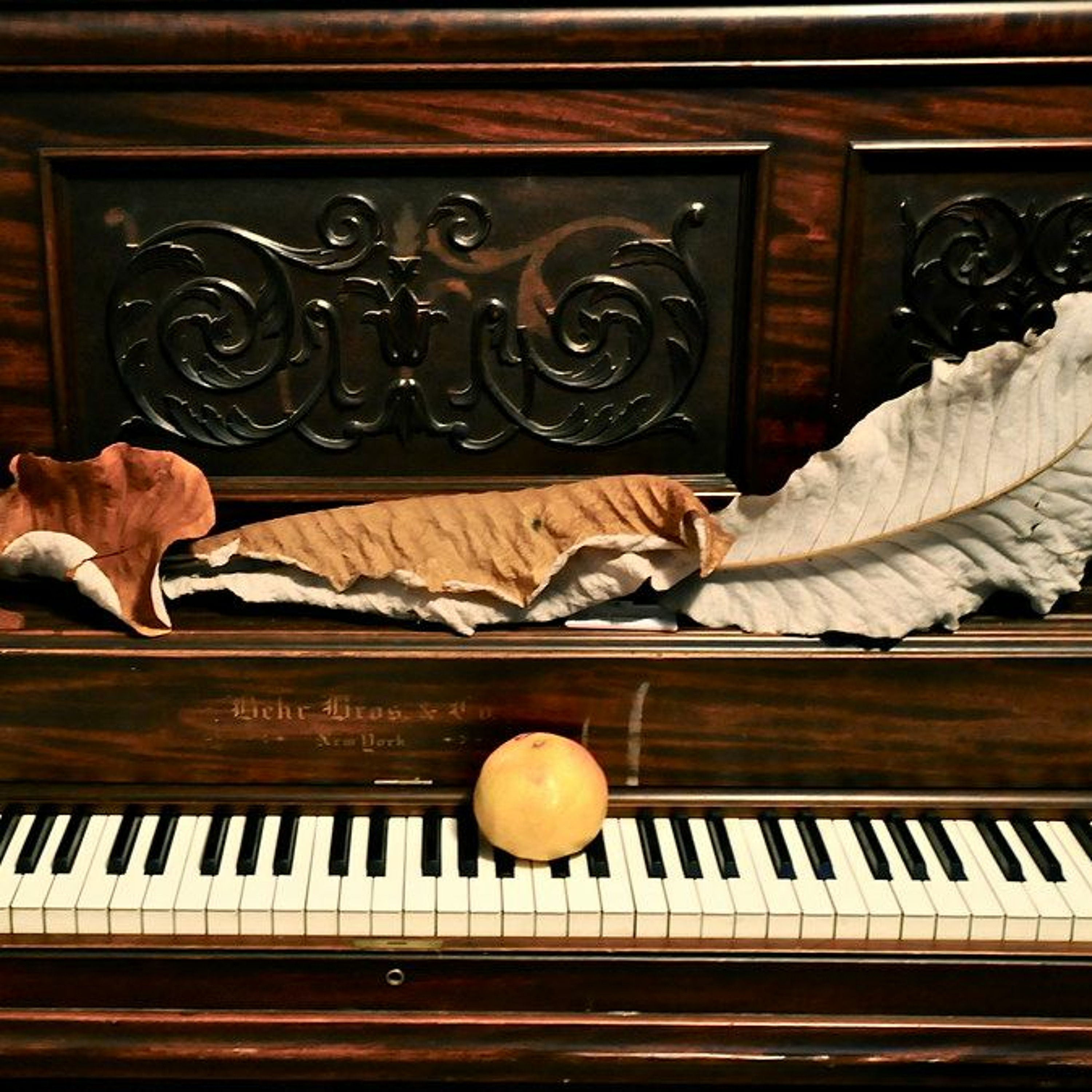 Nocturnal Soliloquy for Solo Piano w Electronic Accomp episode artwork