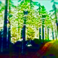 #LOWPOLYGOD - 8-BIT FOREST (PROD. JUNKY)