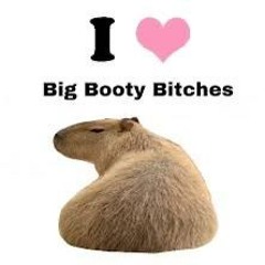 GYRA & MALA GOZU - Big Booty Bitches [FREE DOWNLOAD]